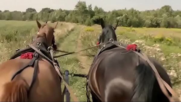 Watch Picture of Beauty for free online